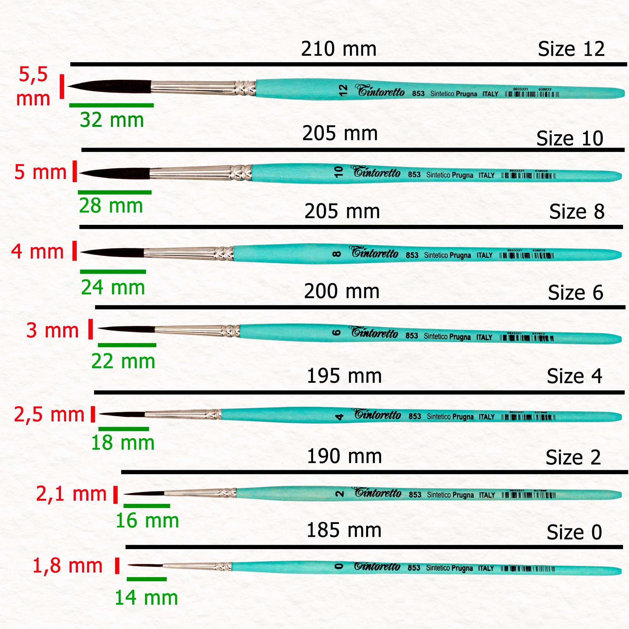 Prugna (série 853) - Tintoretto - Pinceau aquarelle synthétique